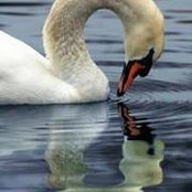 Sonia Prieto's photo