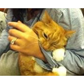 Sita Legac's photo