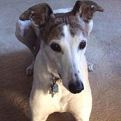 Angela Galper's photo