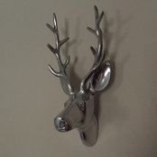 Karl Grant's photo