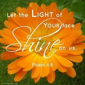 Sonya Johnston's photo