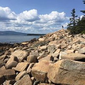 Suzanne McGowan's photo