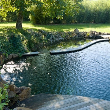 Le bassin skimmer de la piscine naturelle