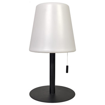 Dainolite TSY-113LEDT Tinsley 12" Tall LED Accent Table Lamp - Matte Black /