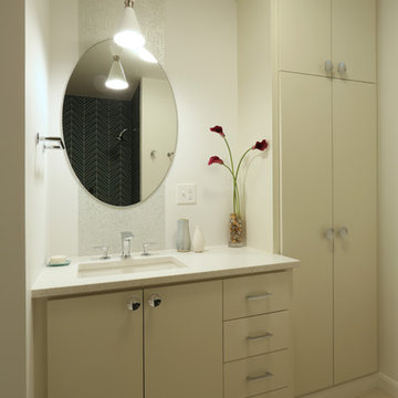 Carol & Steve's Groovy Mid-Century Baths & Main Suite