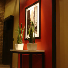Plants