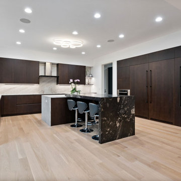 Modern Sleek Kitchen
