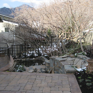 Olympus Cove