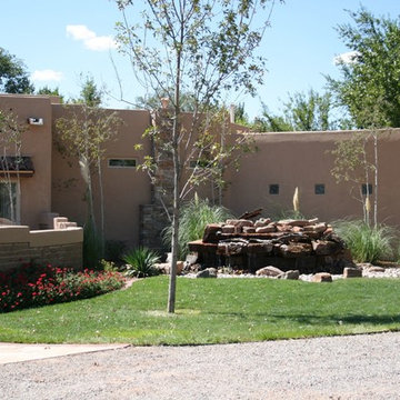 Client's Frontyard
