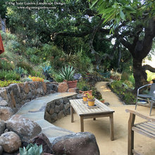 Walnut Courtyard 2025 Outdoors