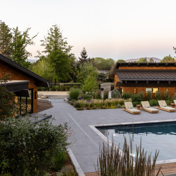 Mid-Century Modern Restoration