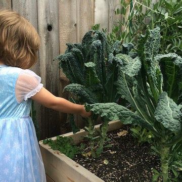 Edible Garden Gallery