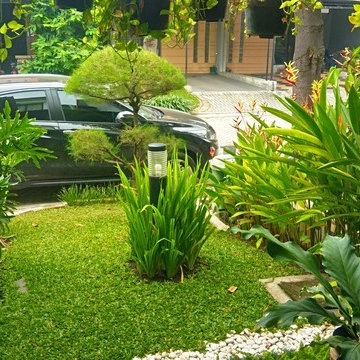 Mini Tropical Frontyard - Deep Lush Tropical Garden