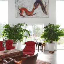 hundliv