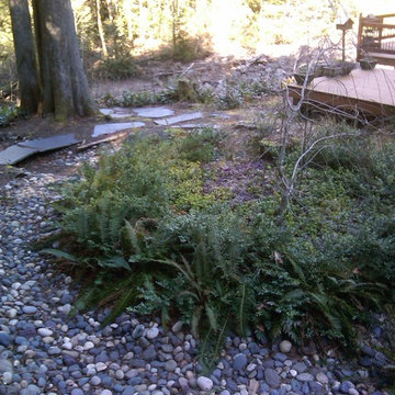 RAIN GARDENS & OUR RAIN GARDEN ISLAND (SM)