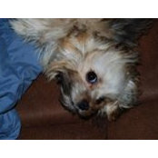 Linda Rothwell's photo