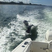 Larry Schulz's photo