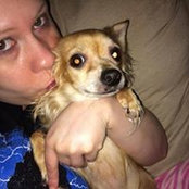 Cyndi Huggs's photo
