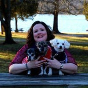Amy Scherer's photo