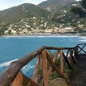 Emanuele Piaggi's photo