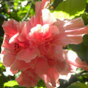 Linda Boyd's photo