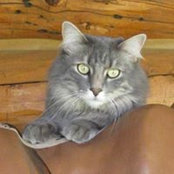 Sally Ogletree's photo
