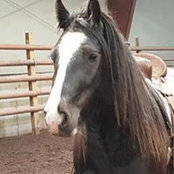 Candace WhiteLight's photo