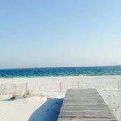 Sherry Johnson's photo