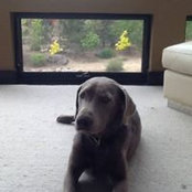 Carmel Briggs's photo