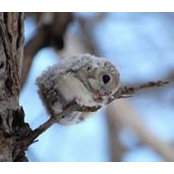 Gail Cunningham's photo