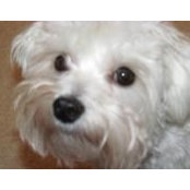 Marilyn Buckingham's photo