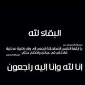 Aya Khashabas billede