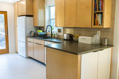 Kitchen - modern kitchen idea in DC Metro