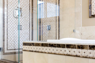 Example of a large transitional master beige tile and brown tile porcelain tile and beige floor bathroom design in Boston with beige walls and a hinged shower door