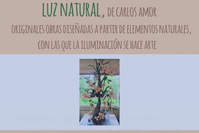 Exposición Luz Natural