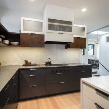 Minneapolis Whole Home Renovation