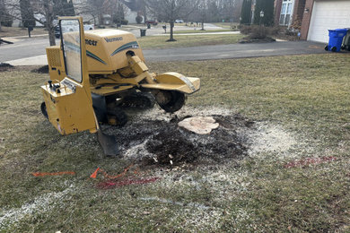 Tree Service