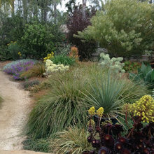 Outdoor Space & Landscaping