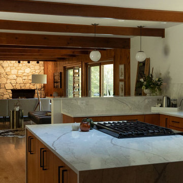 Rockford Kitchen & Living Space Remodel