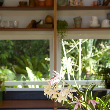 Sub-tropical inner-city suburban tiny house