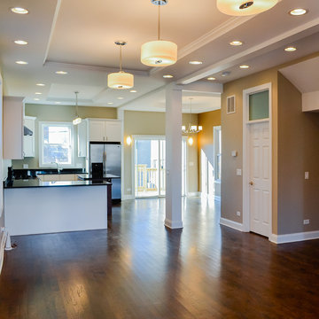 Wicker Park Two-Flat Single Family Gut Rehab - Kitchen