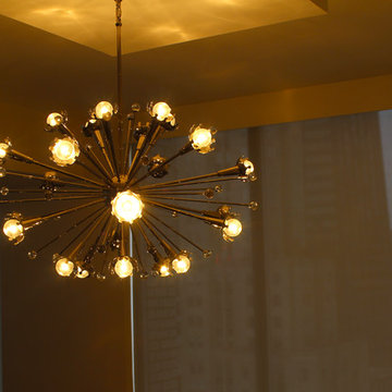 Designer Screen Roller Shades- Downtown Chicago