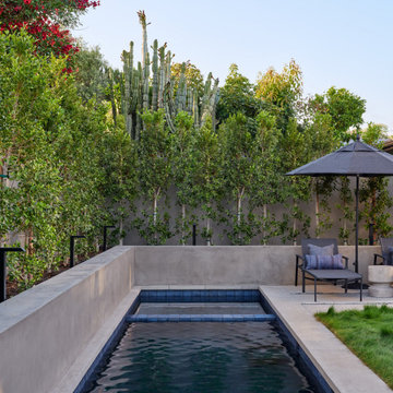 Luxury Plunge Pool in Santa Barbara
