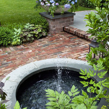 New backyard