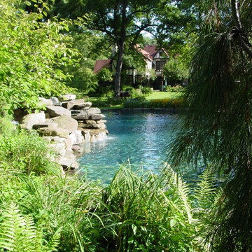 Backyard Oasis with Natural Pool