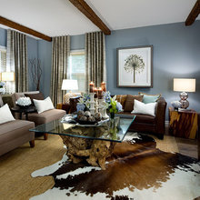 Living Room Ideas