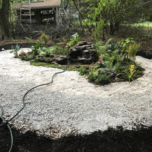 Landscaping On A Budget