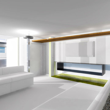 Newport Beach Residence- new family room looking at new Steel fire box with flat