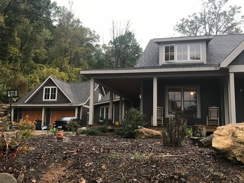 ideas for this very brown house and landscape?
