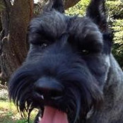 Bill Reese's photo